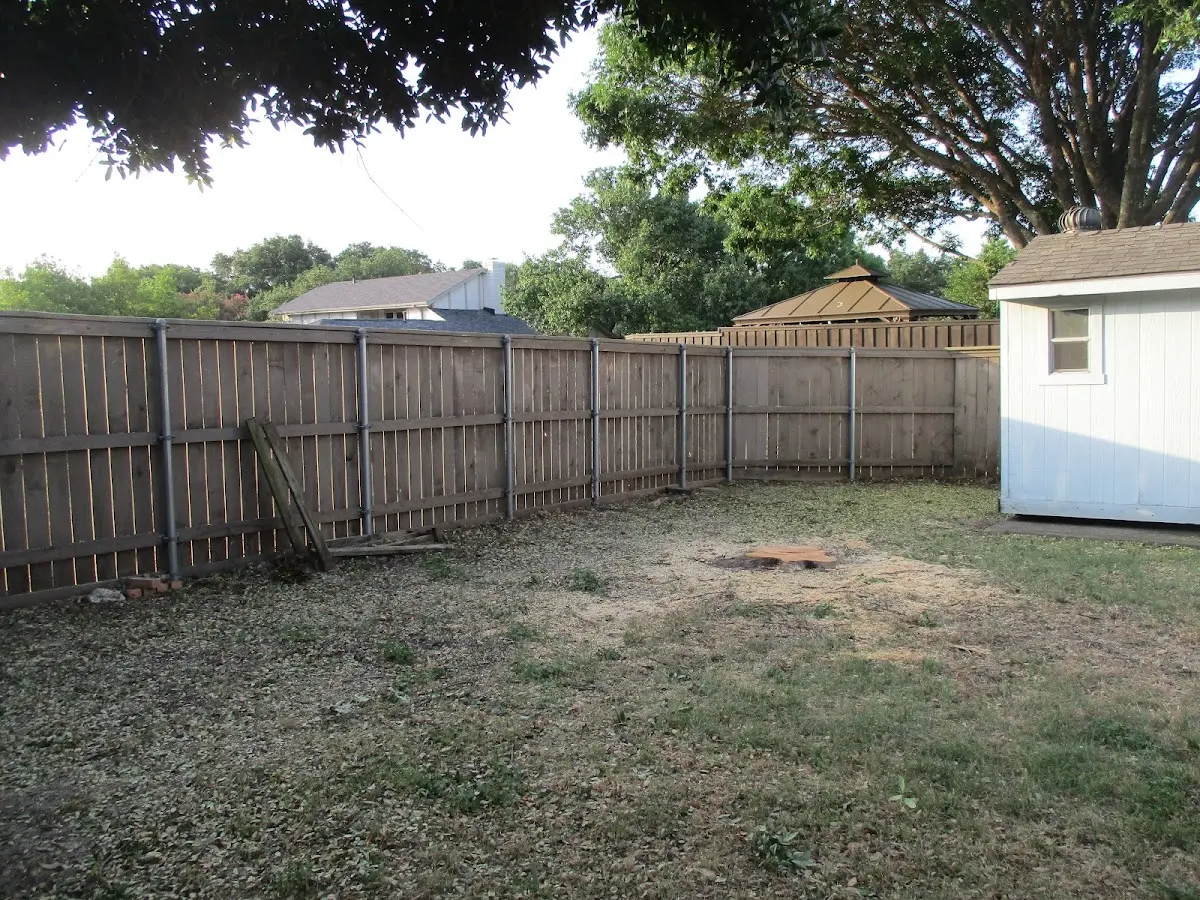 Cleared yard after professional tree removal in Cape May Court House